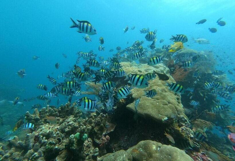 Пансион Or Mandira Guest House