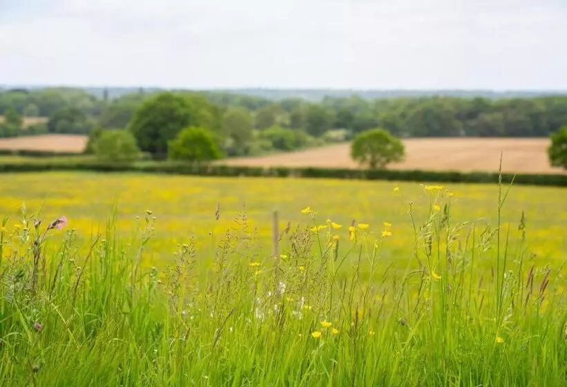 ペンション Jossie S Snug