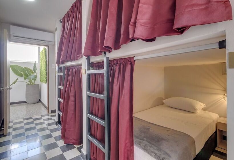 ユースホステル Dorado Plaza Getsemani