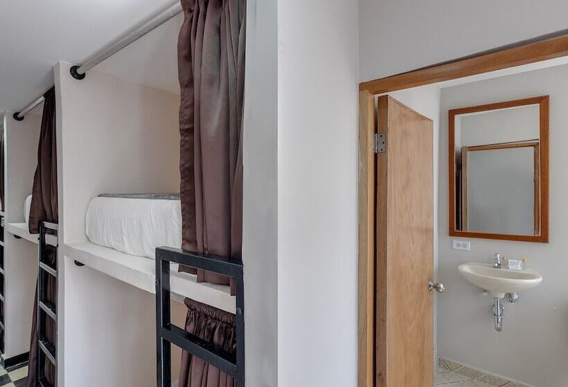 ユースホステル Dorado Plaza Getsemani