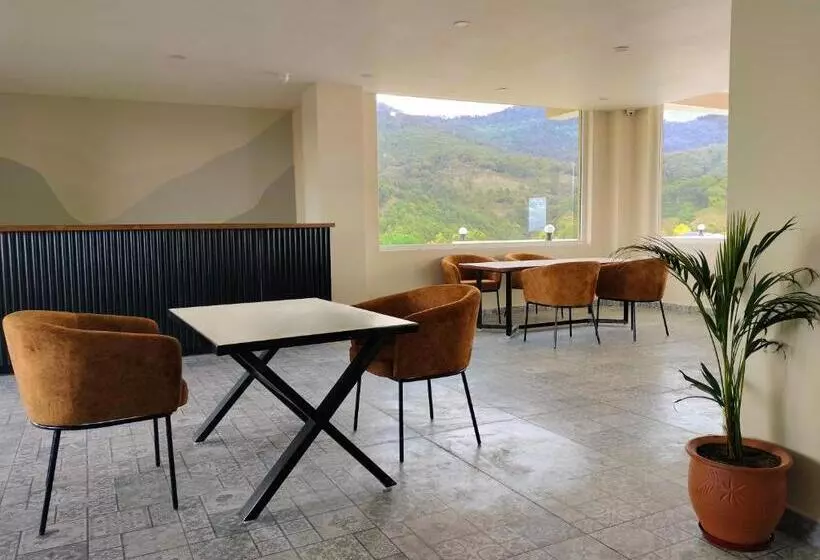 Aotel By Clarks Inn Palampur