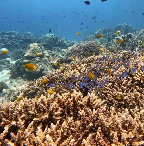 La Pang Resort 라팡리조트