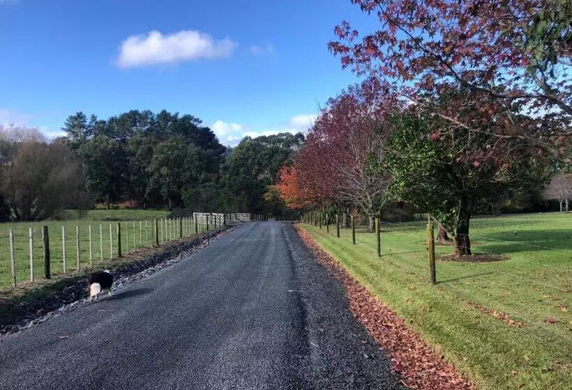 Majatalo Villetta   Matakana Boutique Luxury Accommodation