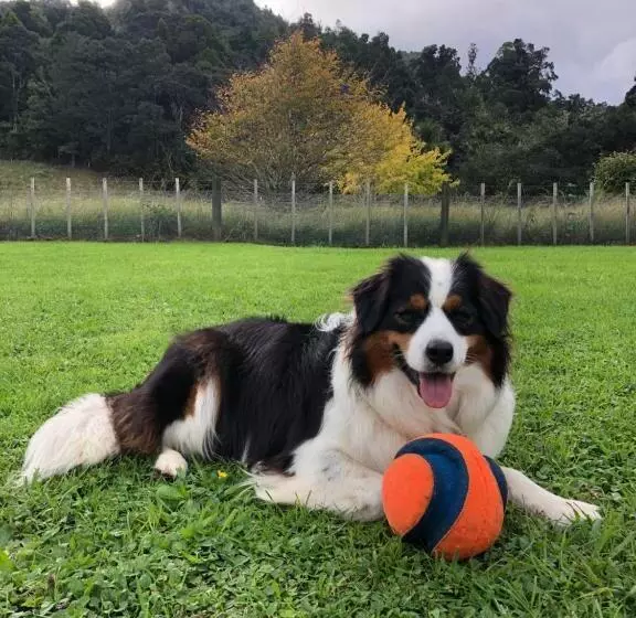 Majatalo Villetta   Matakana Boutique Luxury Accommodation