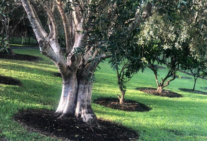 ペンション Villetta Matakana Boutique Luxury Accommodation