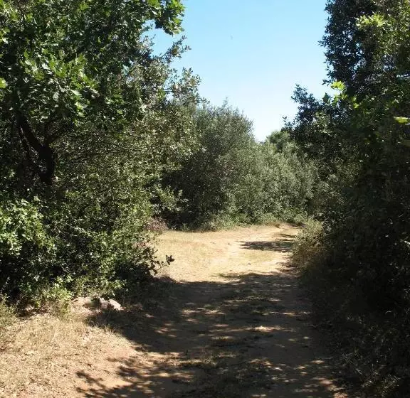 Aamiaismajoitus (B&B) Esprit Garrigues D Uzès
