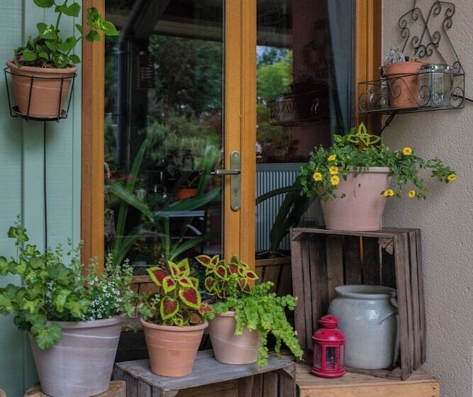 צימר Les Galapons