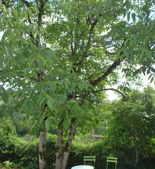 Aamiaismajoitus (B&B) La Ferme De Roquedure