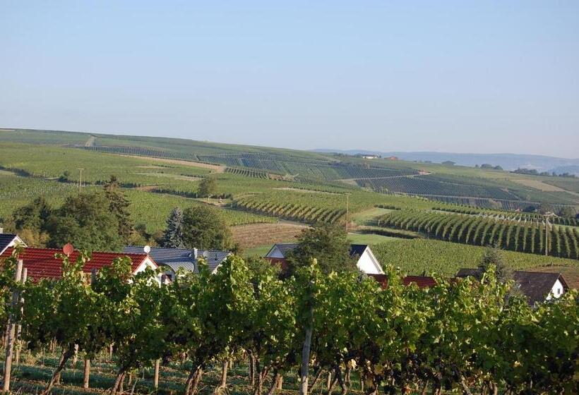 בית מלון כפרי Heinrichs Winery Bed & Breakfast