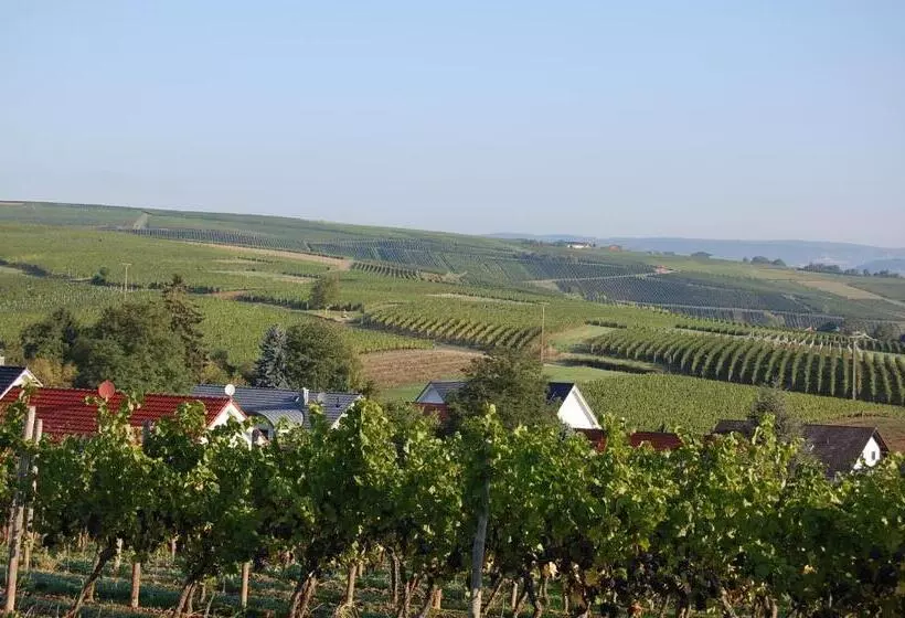 Hotelli Heinrichs Winery Bed & Breakfast