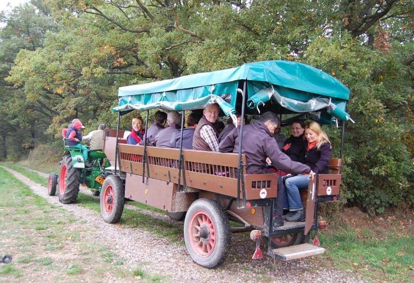 בית מלון כפרי Heinrichs Winery Bed & Breakfast