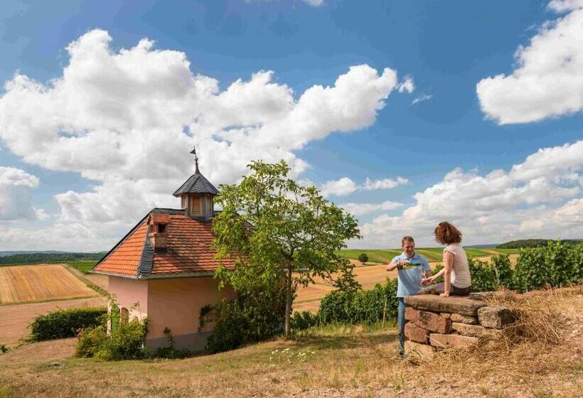 בית מלון כפרי Heinrichs Winery Bed & Breakfast