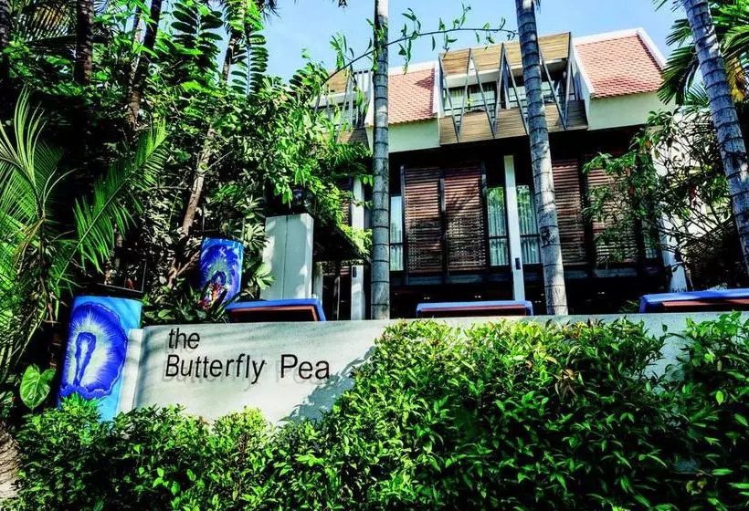 هتل The Butterfly Pea