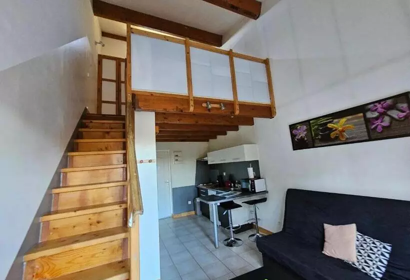 Gîte Le Muscat L Escapade Des Flamants Roses