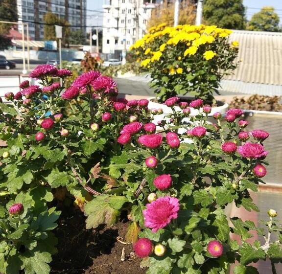 هتل 12 Months Mini