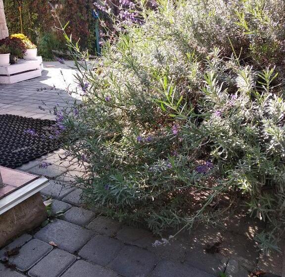 هتل 12 Months Mini