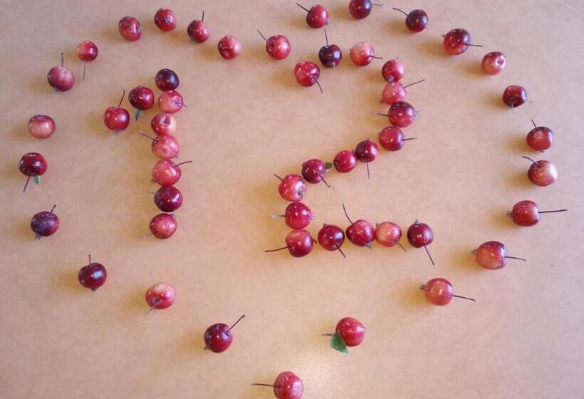 هتل 12 Months Mini