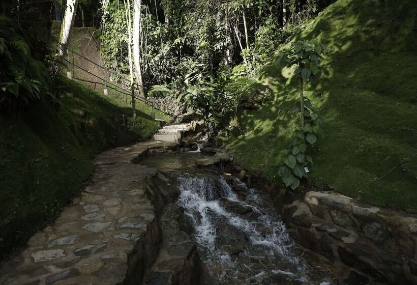 Отель Ananda Boutique La Vega