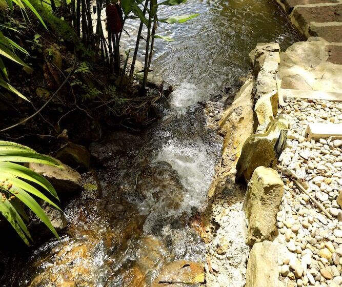 Отель Ananda Boutique La Vega