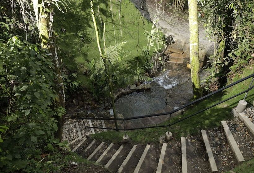 Отель Ananda Boutique La Vega