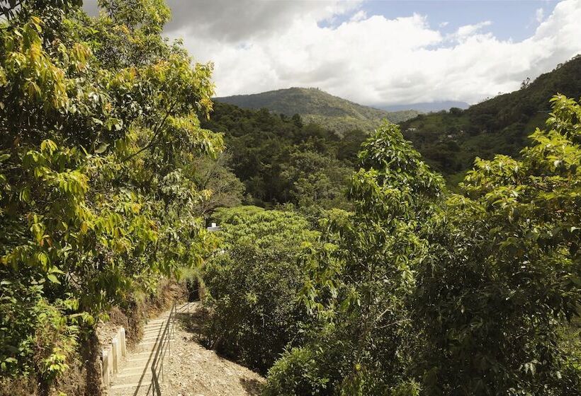 Отель Ananda Boutique La Vega