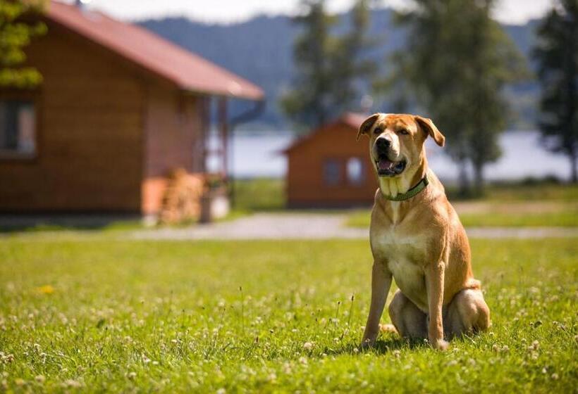 فندق Resort Olšina