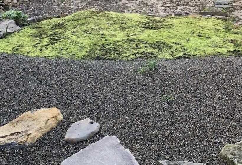 Pensione Ryokan Tsuchi To Ito