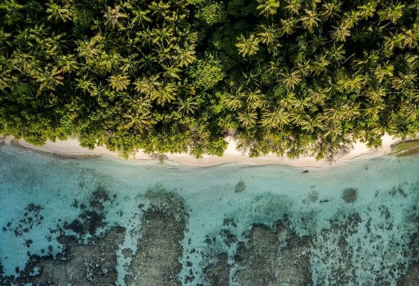 پانسیون Whale Shark Beach