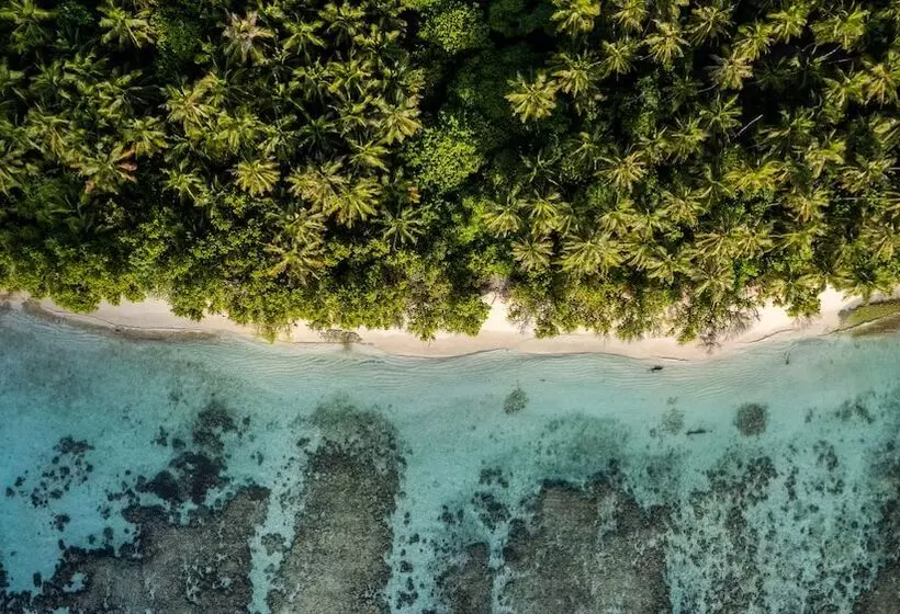 پانسیون Whale Shark Beach
