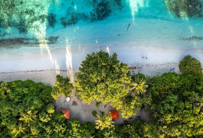 پانسیون Whale Shark Beach