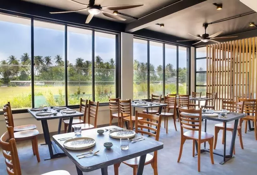 پانسیون Whale Shark Beach