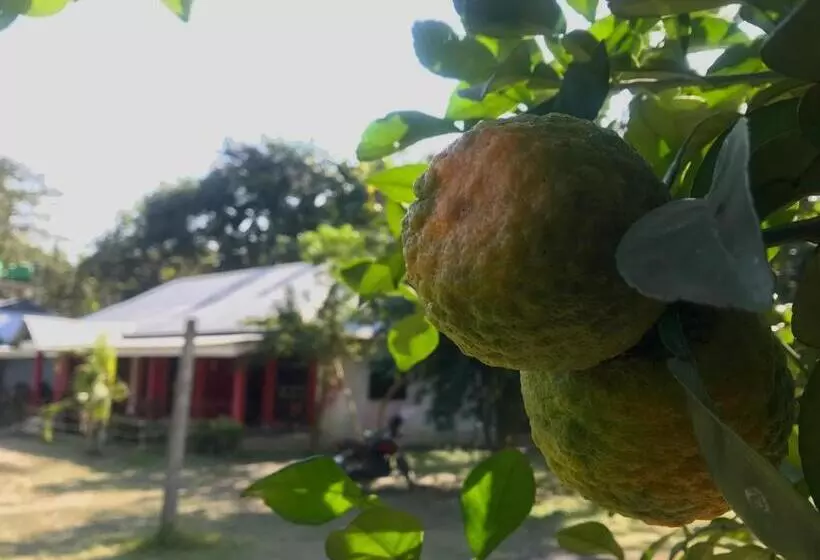 リゾートホテル Villa De Hollong