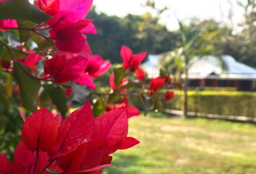 リゾートホテル Villa De Hollong