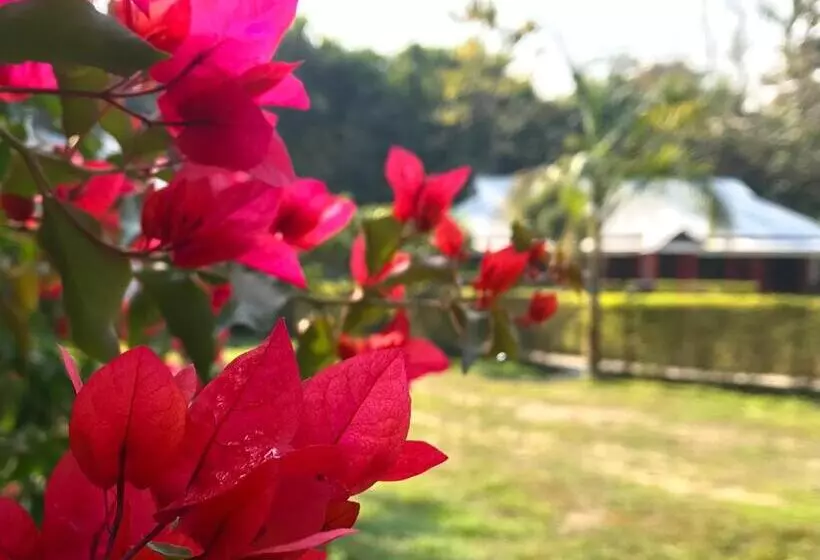 リゾートホテル Villa De Hollong