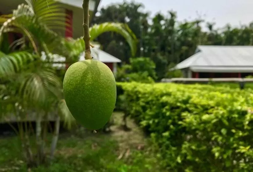 リゾートホテル Villa De Hollong