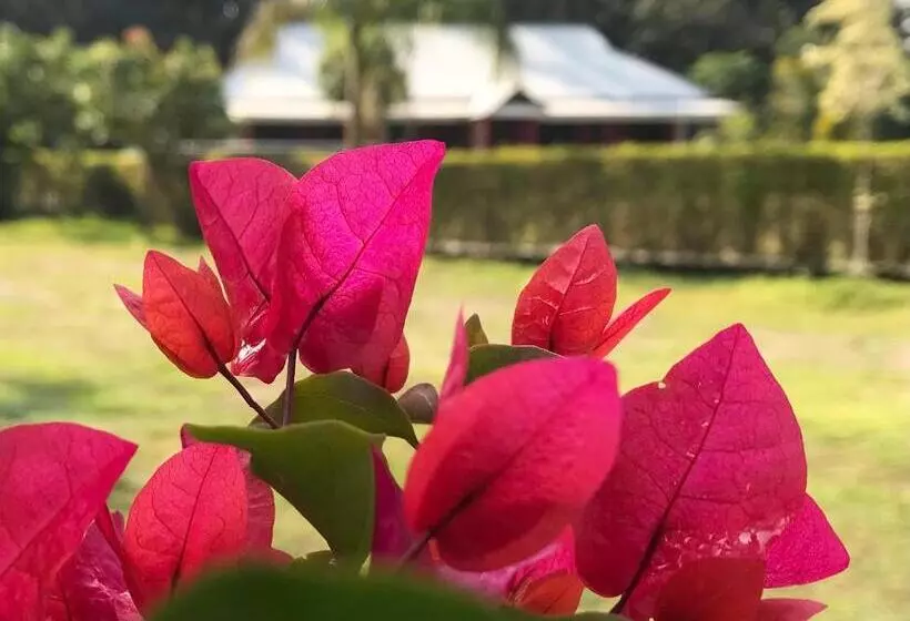 リゾートホテル Villa De Hollong