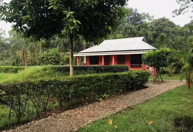 リゾートホテル Villa De Hollong