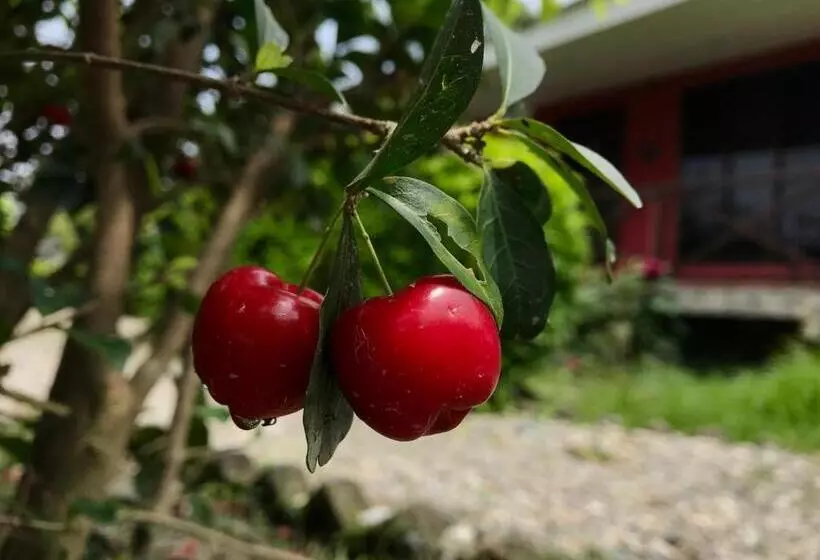 リゾートホテル Villa De Hollong