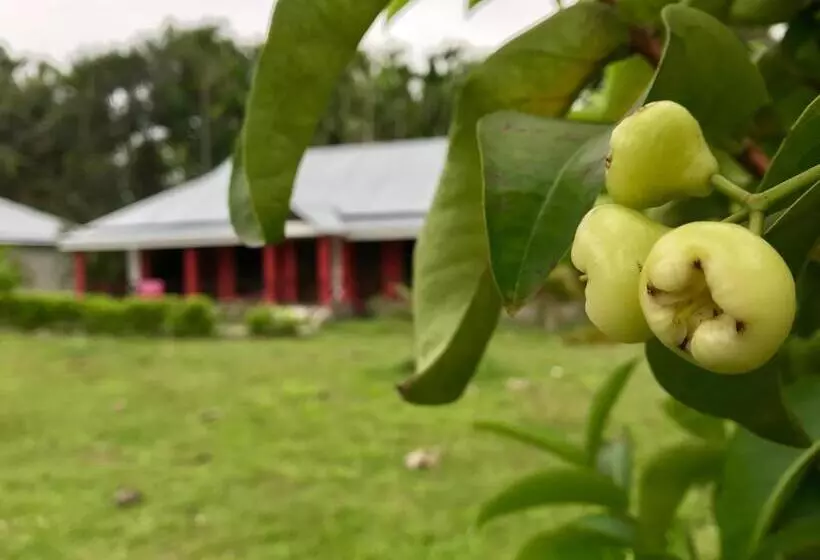 リゾートホテル Villa De Hollong