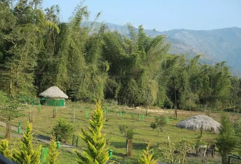 Tiger Tracks Resort