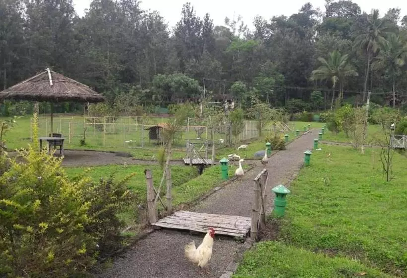 Tiger Tracks Resort