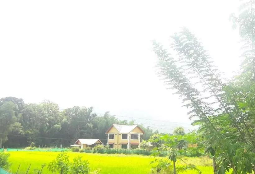 Tiger Tracks Resort