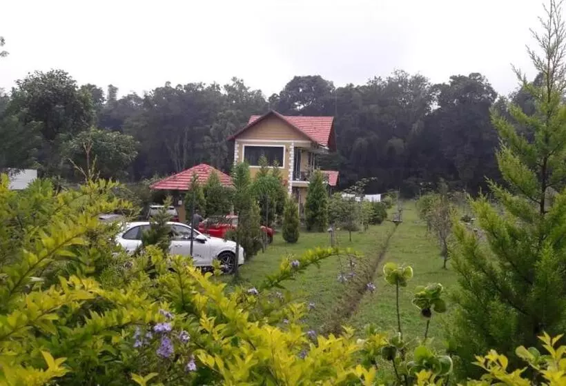 Tiger Tracks Resort