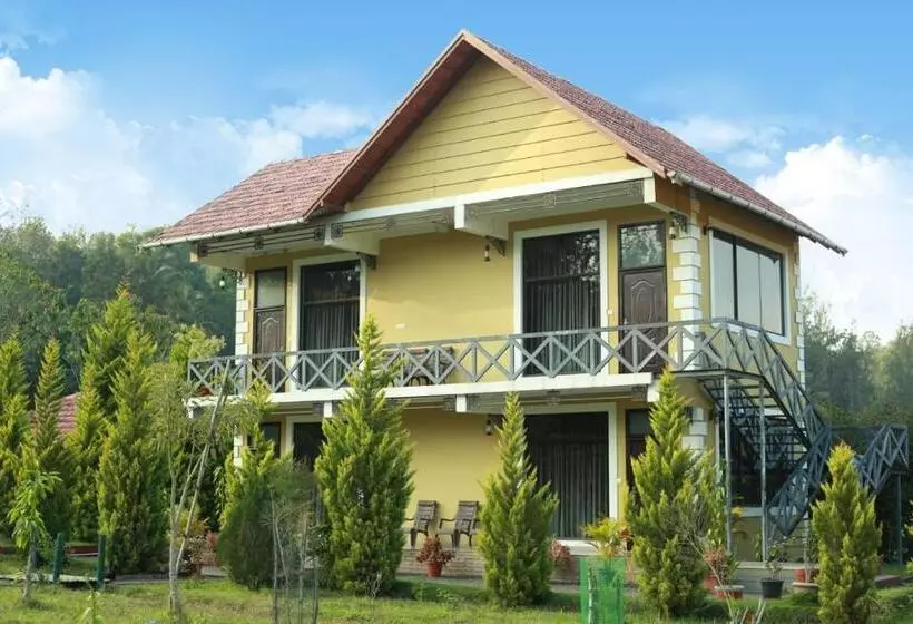 Tiger Tracks Resort