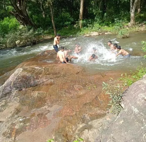Tiger Tracks Resort