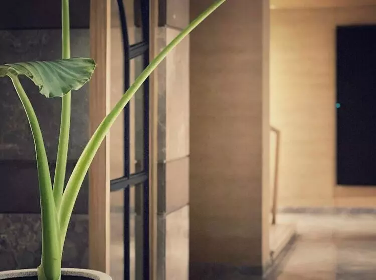 Aamiaismajoitus (B&B) Hyatt Place Vijayawada