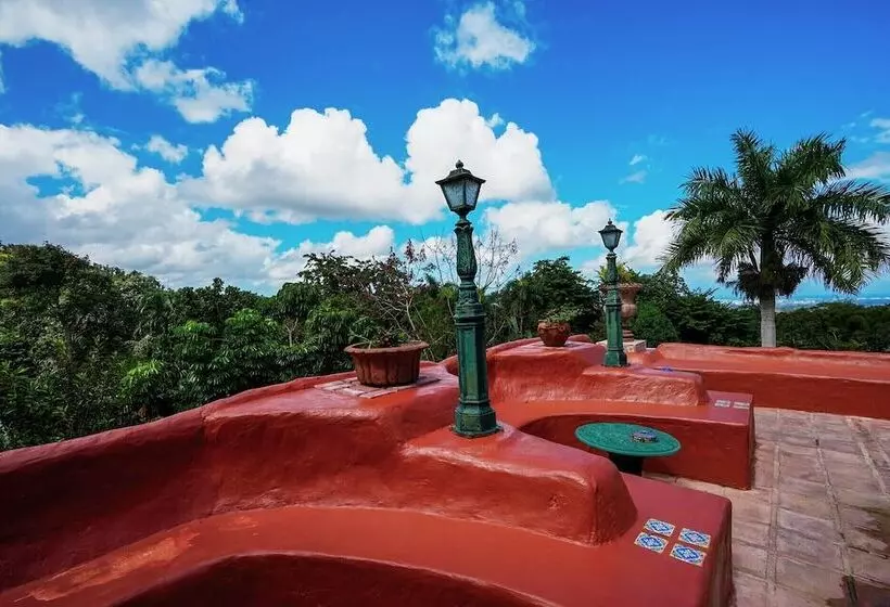 هتل Serena Boutique