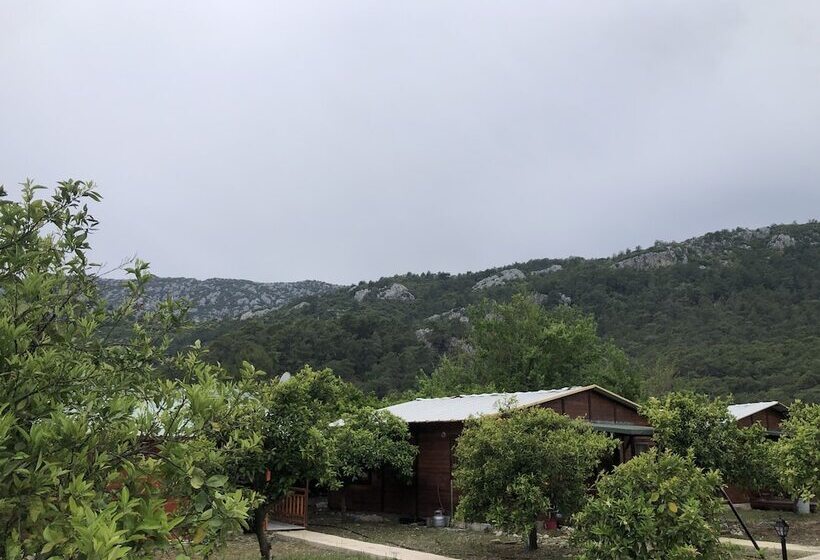 Cıralı Anka Apart Bungalov