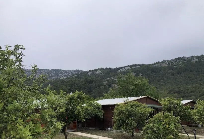 Cıralı Anka Apart Bungalov