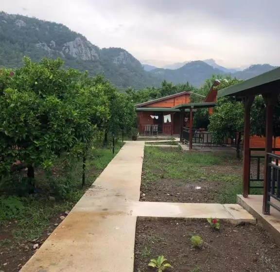 Cıralı Anka Apart Bungalov